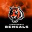 Picture of KR NFL Cincinnati Bengals On Fire Bowling Towel