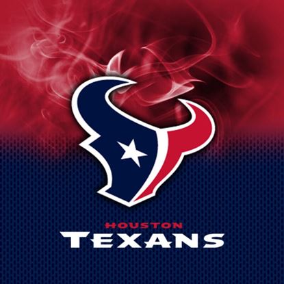 Picture of KR NFL Houston Texans On Fire Bowling Towel